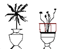 Sketch of
        potted plants from Carpaccio's Dream of St. Ursula